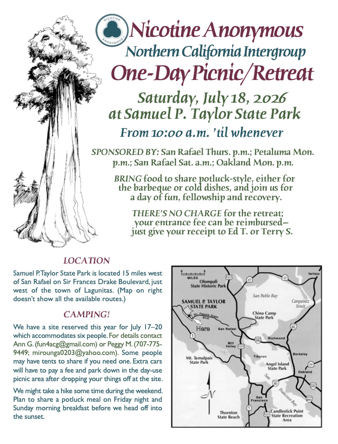 NicA NorCal 2026 Picnic Flyer